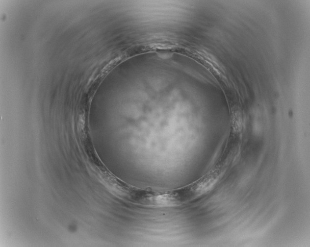 X0000075830365200609291428