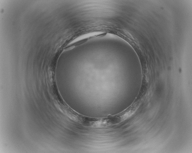 X0000075830366200609291428