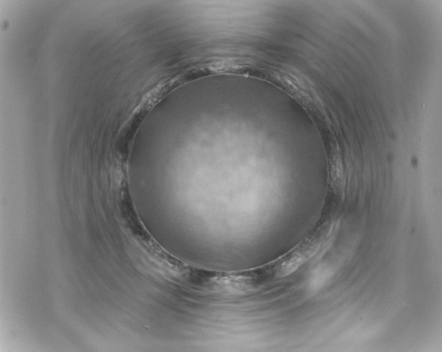 X0000075830367200609291428