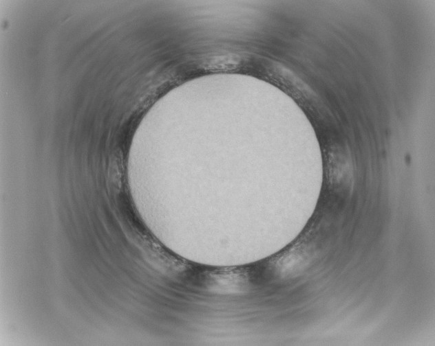 X0000075830370200609291428