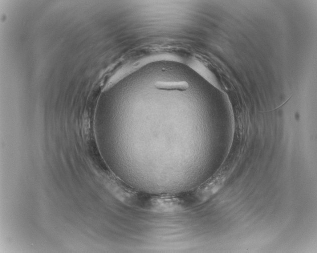 X0000075830372200609291428