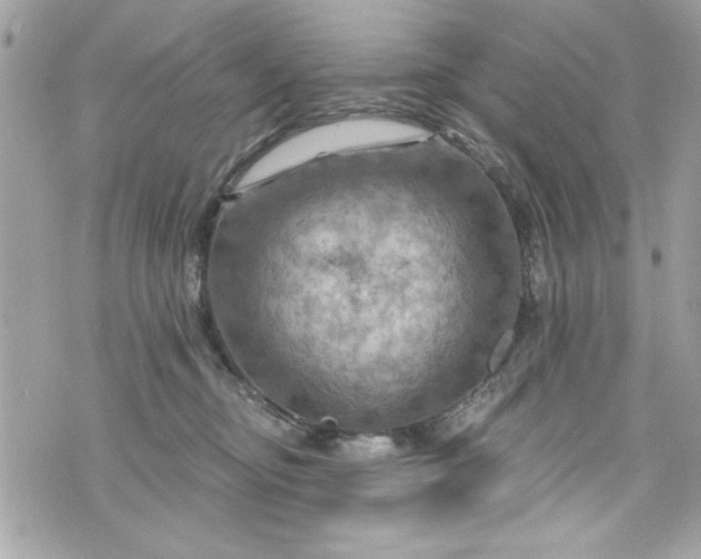 X0000075830374200609291428