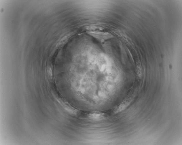 X0000075830375200609291428