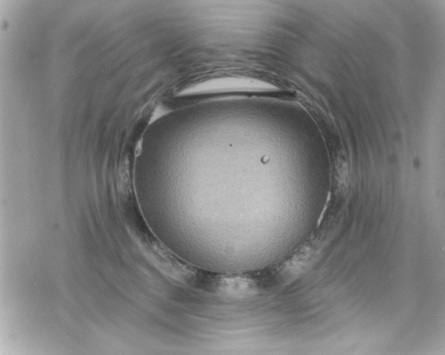 X0000075830376200609291428