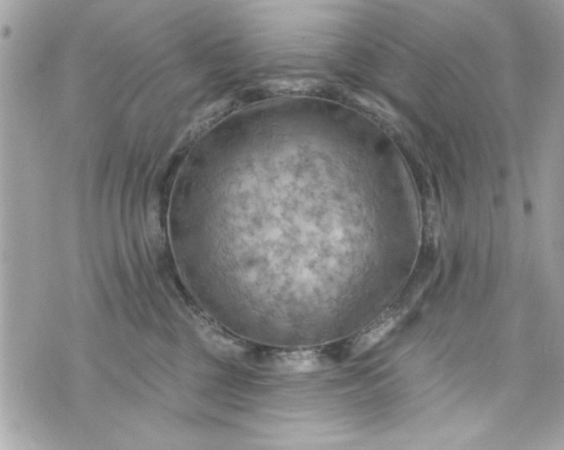 X0000075830377200609291428