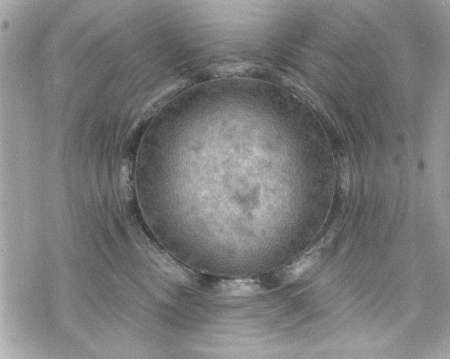 X0000075830378200609291428