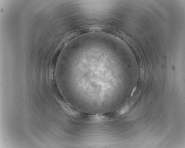 X0000075830379200609291428