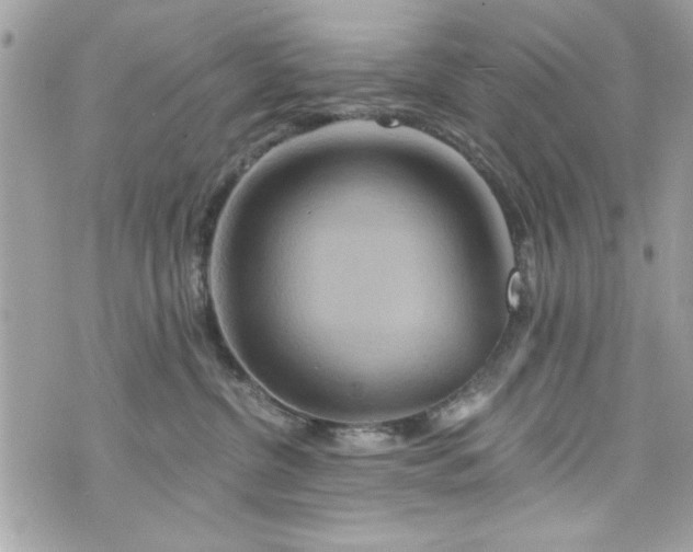 X0000075830380200609291428