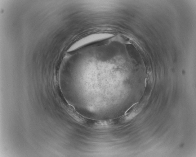 X0000075830381200609291428