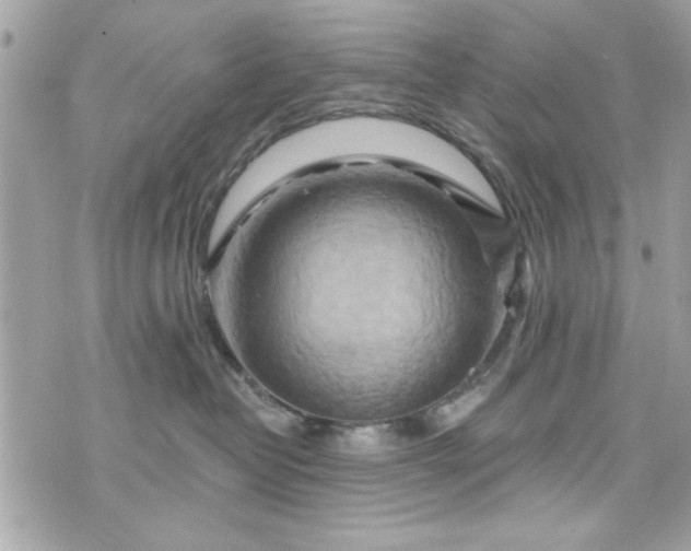 X0000075830382200609291428