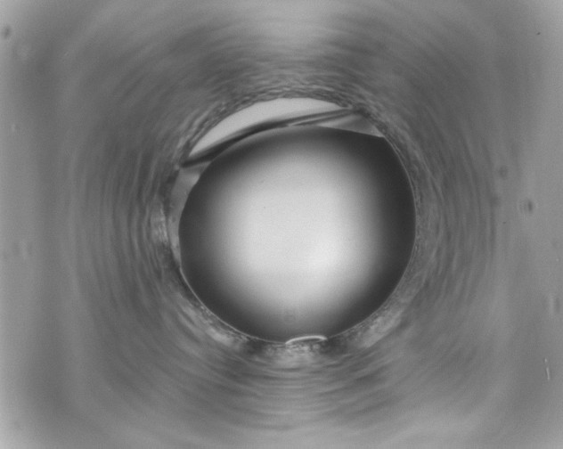 X0000075830384200609291428