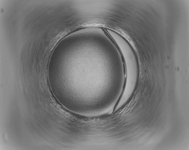 X0000075830385200609291427