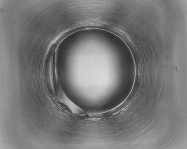 X0000075830388200609291427