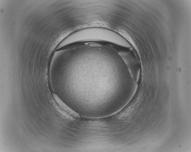 X0000075830389200609291427