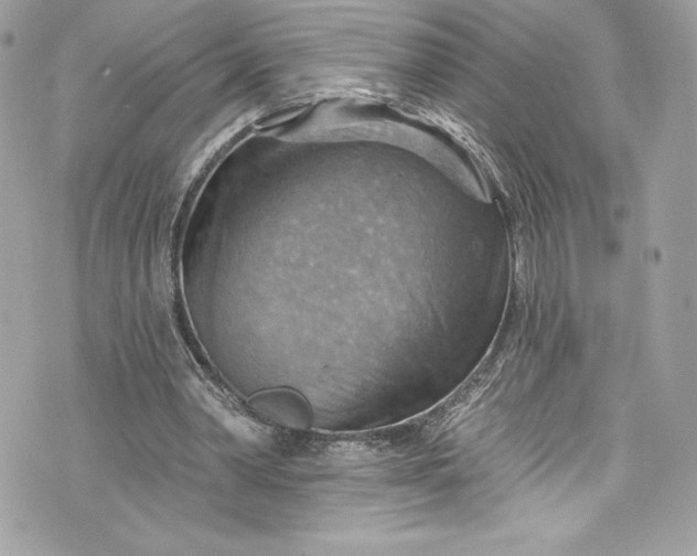 X0000075830390200609291427