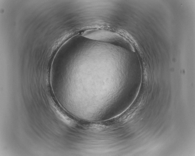 X0000075830393200609291427