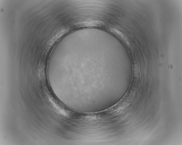 X0000075830394200609291427