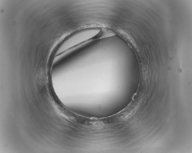 X0000075830395200609291427