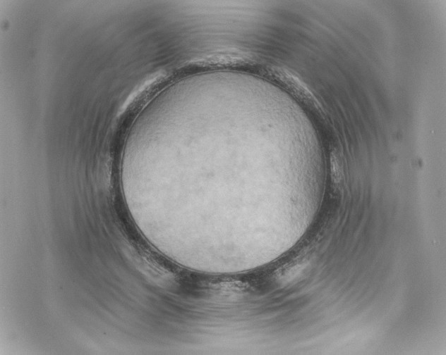 X0000075830396200609291427