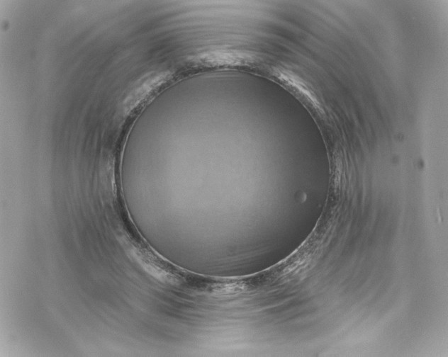 X0000075830398200609291427