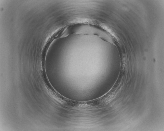 X0000075830399200609291427