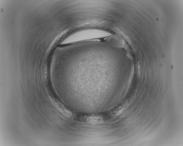 X0000075830400200609291427