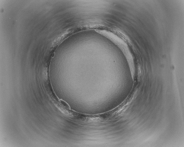 X0000075830401200609291427