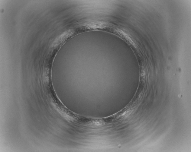 X0000075830402200609291427