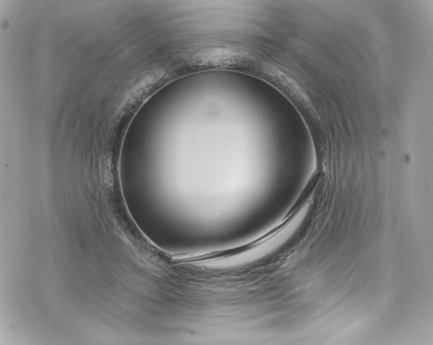 X0000075830403200609291427