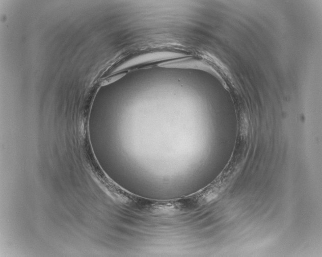 X0000075830405200609291427