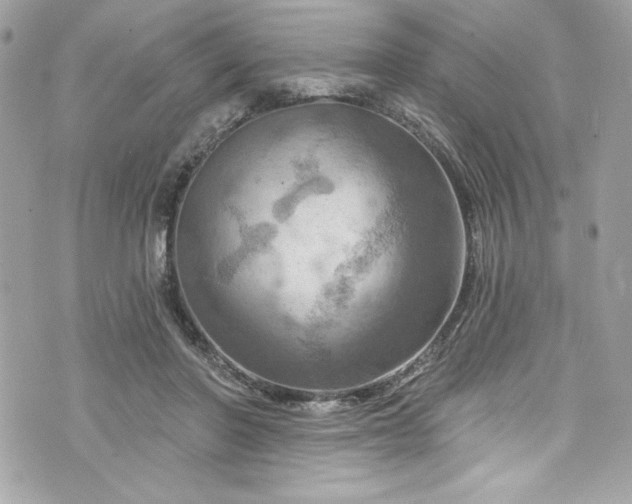 X0000075830406200609291427