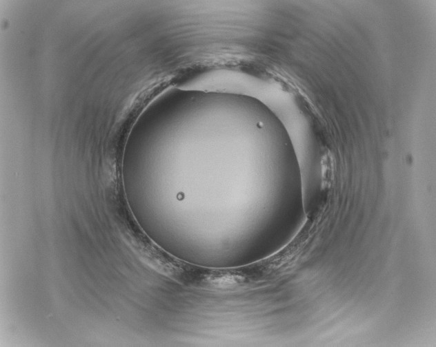 X0000075830407200609291427