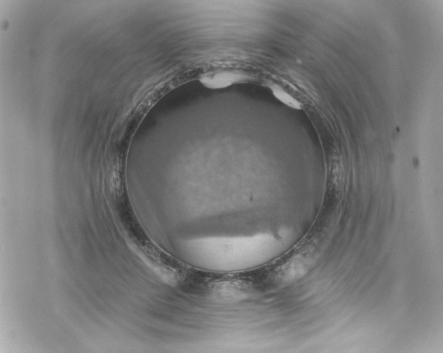 X0000075830408200609291427