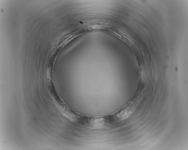 X0000075830410200609291427