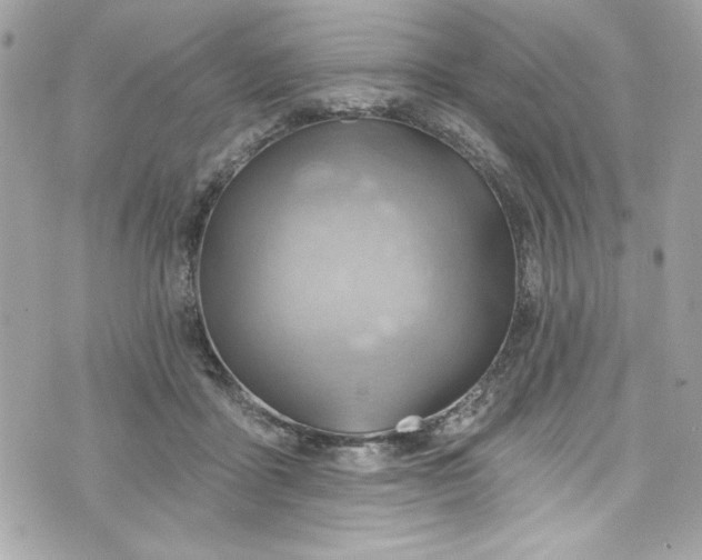 X0000075830411200609291427