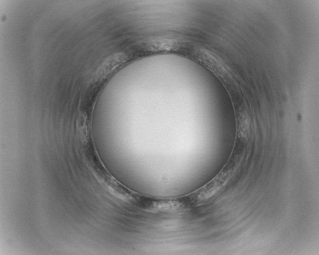 X0000075830414200609291427