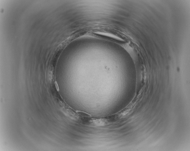 X0000075830417200609291427