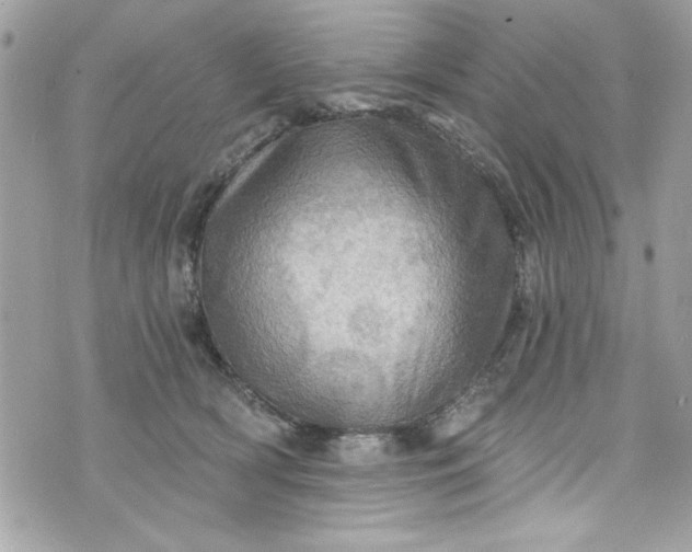 X0000075830418200609291427