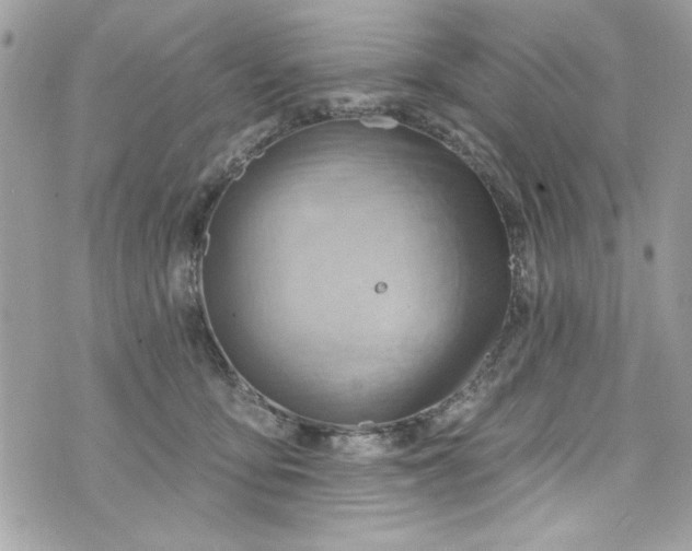 X0000075830419200609291427