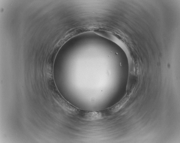 X0000075830421200609291427