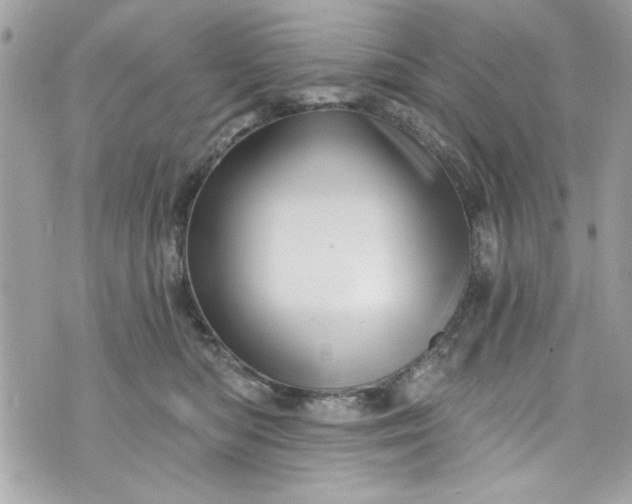 X0000075830422200609291427