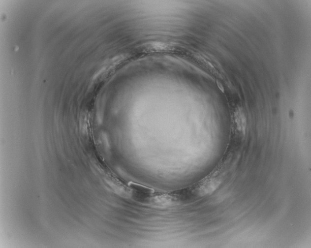 X0000075830423200609291427