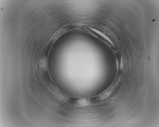 X0000075830425200609291427