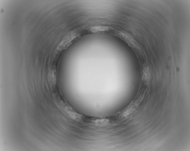 X0000075830426200609291427