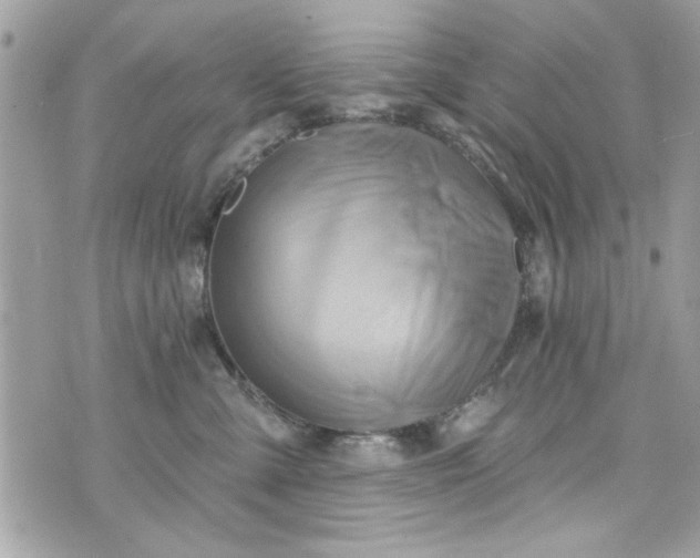 X0000075830427200609291427