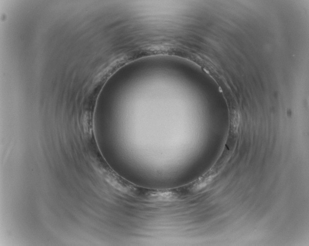 X0000075830428200609291427