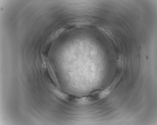 X0000075830430200609291426