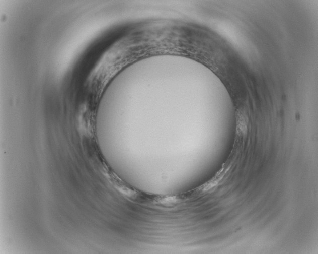 X0000075830431200609291426