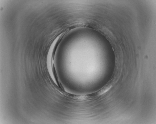 X0000075830432200609291426