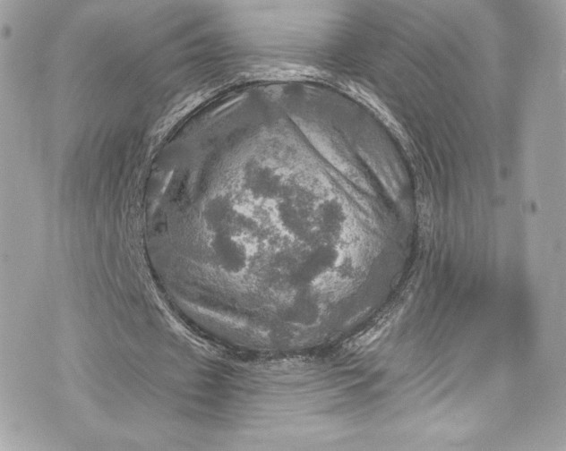 X0000075830433200609291426